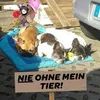 bullymom76