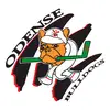 maxiboyicehockey