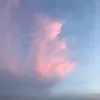 vicxpal