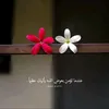 user15zwbznwqk