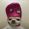 aladinmathafaker0