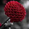 user7wkhlx7gpc