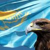 ali.aliev974
