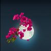 om_mohamed7775