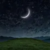 daoudfficial1
