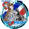 huskypassion_