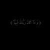 alaarabee37