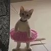 _opsmay_