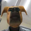 _neutron.dioxide