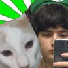 maxikitkatt