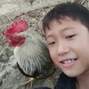 quang.huy.net