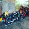 sedulur_king135