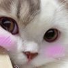 tbou_ahrejlo4ek742