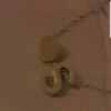 user86181202861270