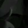 .k4njut