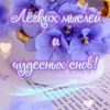 user8447852141614