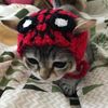 zaria_0230
