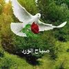 user8119333325570