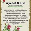 user5448516718227