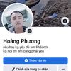 di...phuong