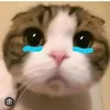nhinmemay27