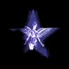 flybray