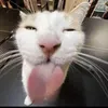 dinhtoann33