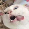 lnyrss_