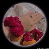 malik_7420