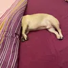 libathon2