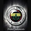 derneiis6n8