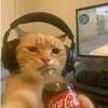 jeremiah_solite