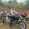 arytarigan02