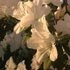 alicja.sliwa_