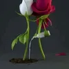 usericznuhz75n
