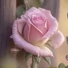 user9329031444656