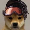 professionalapexrat