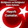 aslanhakan881