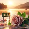 rabiashahid987