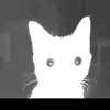 blossomyfox370