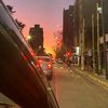 flor_15635