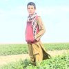 mehrabiddin.zaheri