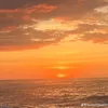 mayo_0504