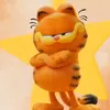 pelcito