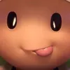 kotieniuai