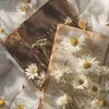 readbook88