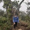 opick_8181