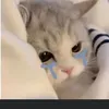 คิดชื่อไม่ออก❕❕