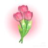 official_flowertulip