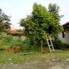 atks_1234
